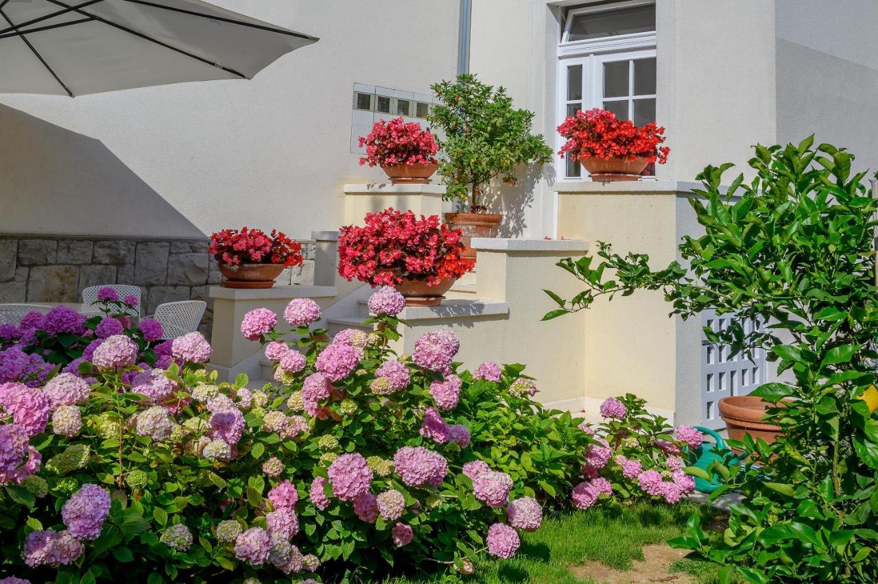 Palace Schoen Milesi - Esense Of Prestige - Private Pool - Free Parking - Old Money Style Luxury Rooms - Walking Distance To The Old Town, The Beach And All Amenities - Buralux Properties سبليت المظهر الخارجي الصورة